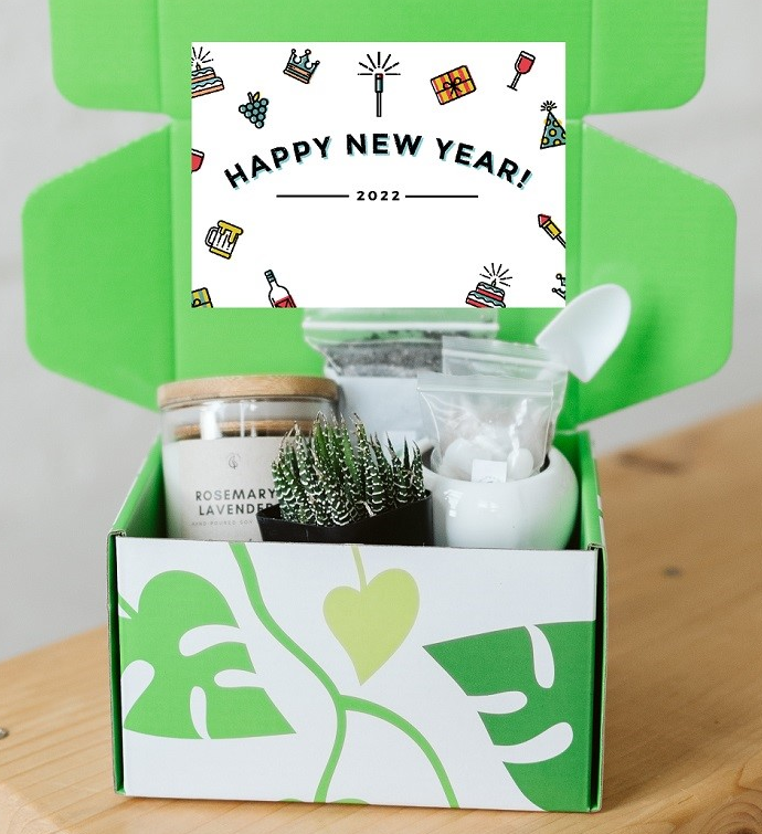 Happy New Year 2022 Succulent Gift Box